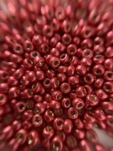 Бисер круглый 11/0 4211 Duracoat Galvanized Light Cranberry